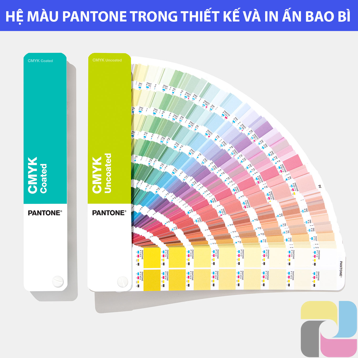 Hệ Màu Pantone Là Gì? Phân Biệt Hệ Màu CMYK Và Pantone